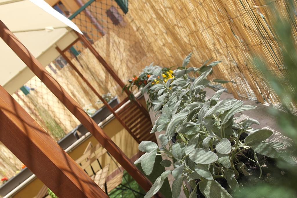 רומא Candia Green House B&B מראה חיצוני תמונה